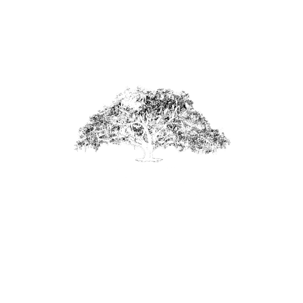 Coastal Signature Home