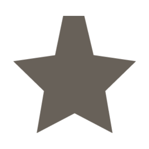 Gray star asset 3 (300 x 300 px) (1)