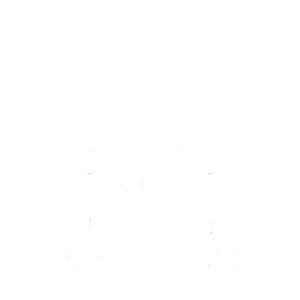 Moon King Entertainment