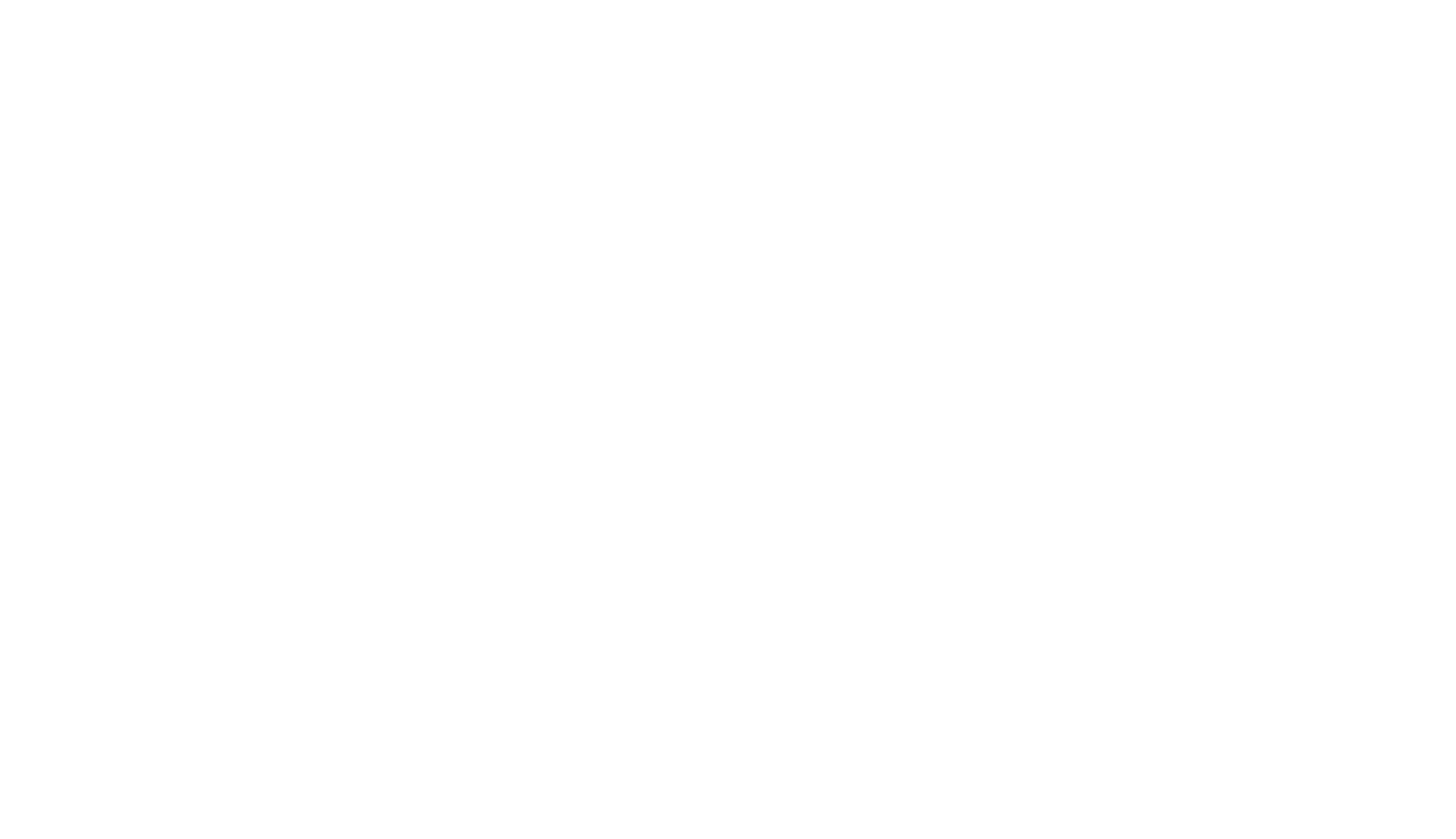 SCAN-Logo-White_INC-TAG