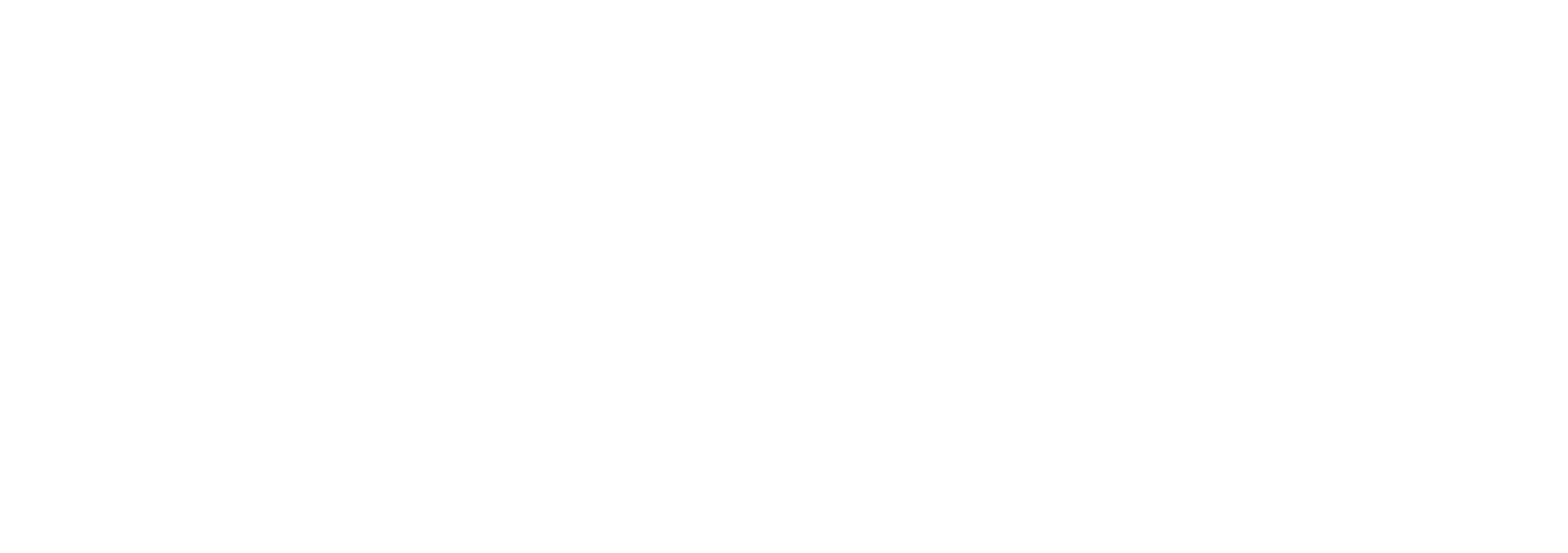 The finishes Logo Gowen_white