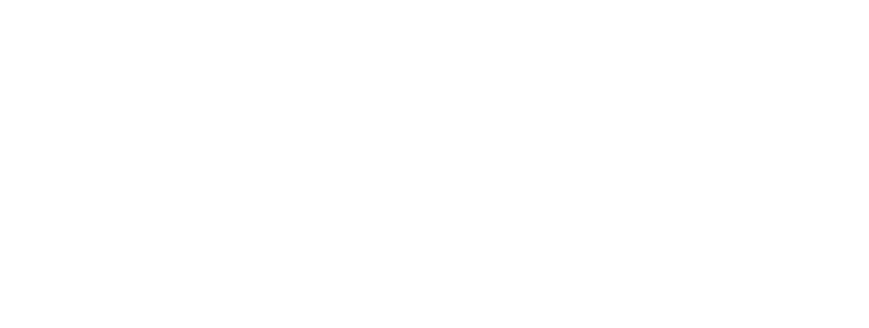 Xartis_LOGO_Wealth Advisory 2025 - white