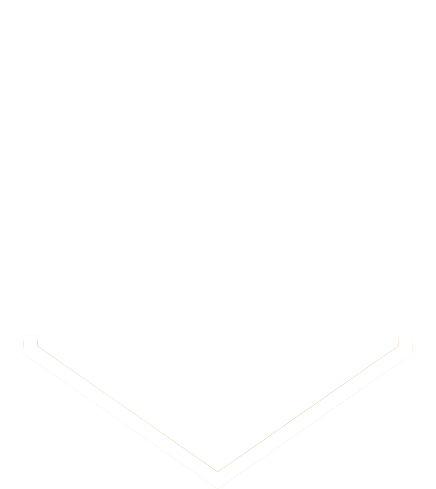 dark logo shield without logo_white