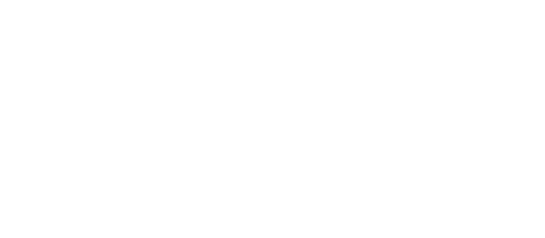 W.E. logo Large