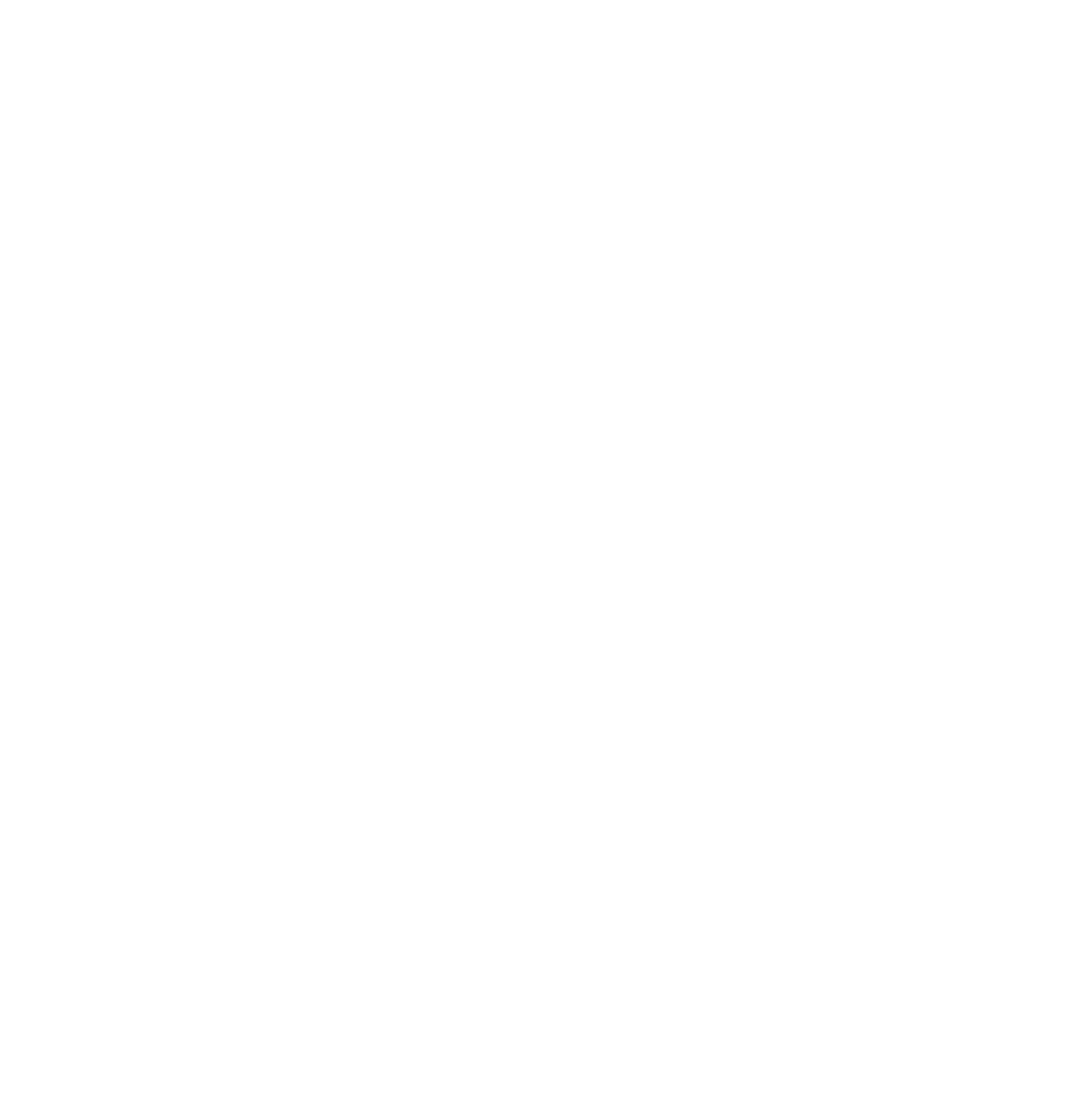 Camelot Logo wNamecontact_white