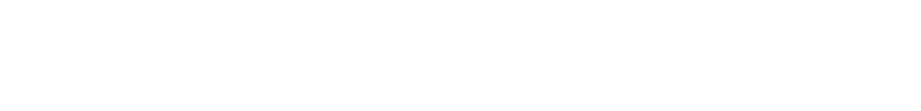 TICO logo 1_WHITE