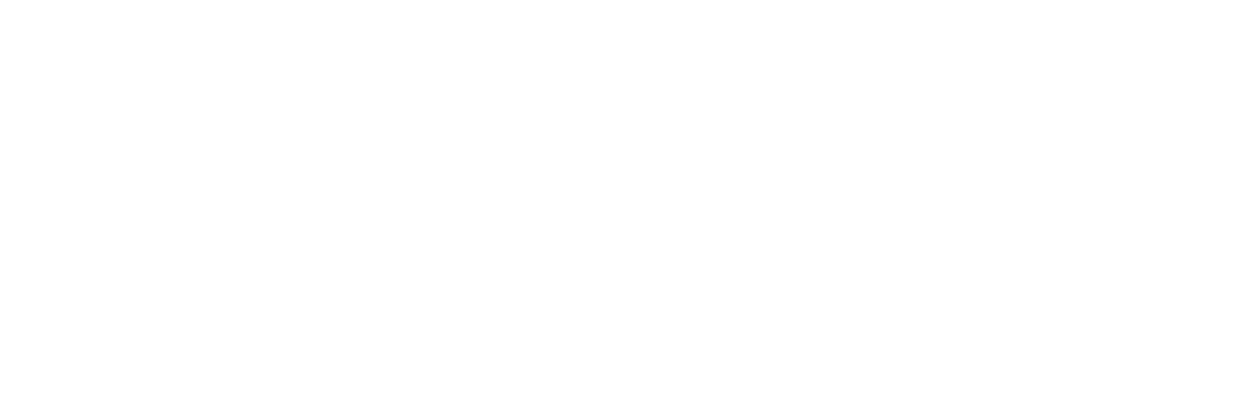 Bluffton Sign Logo_white (1)