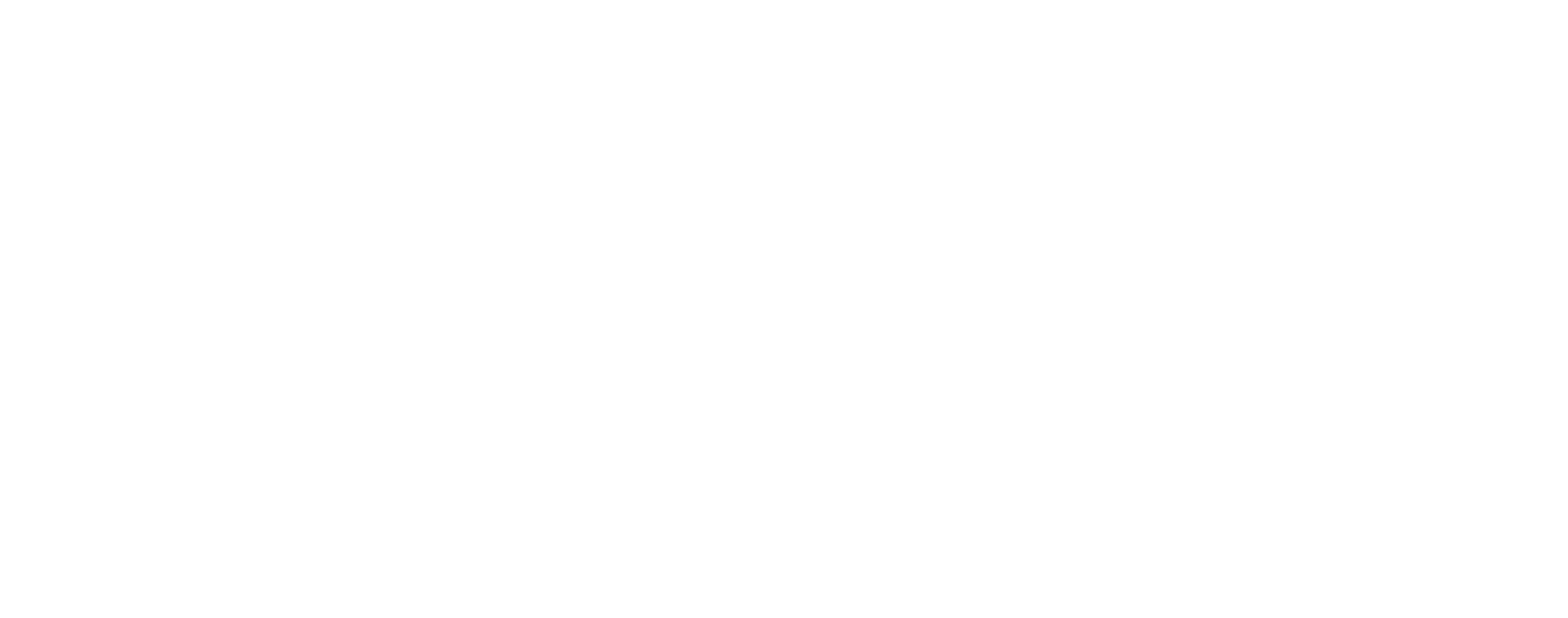 NOSH_BAGEL_WHITE
