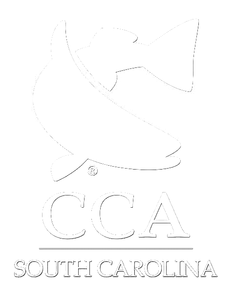 CCA_grad_logo_sc_white