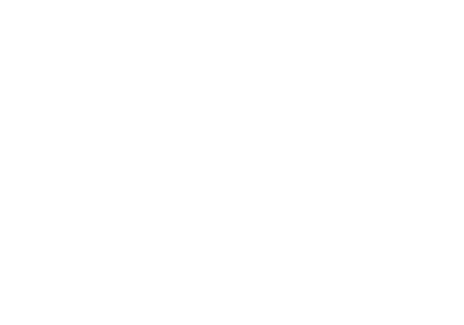 David & Rebecca Schmitz_white