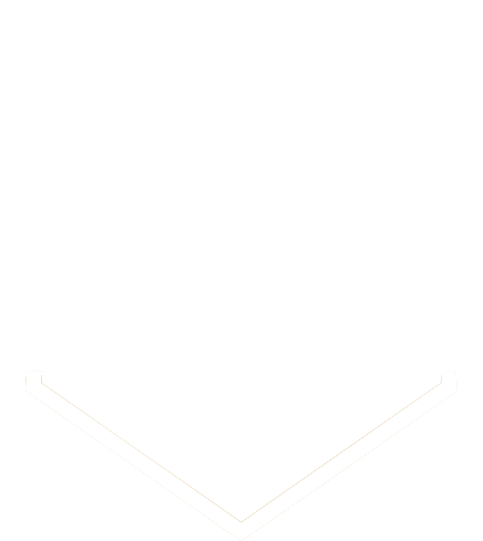 dark logo shield without logo_white
