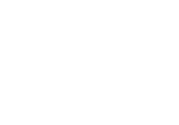 Beam Suntory_600x600